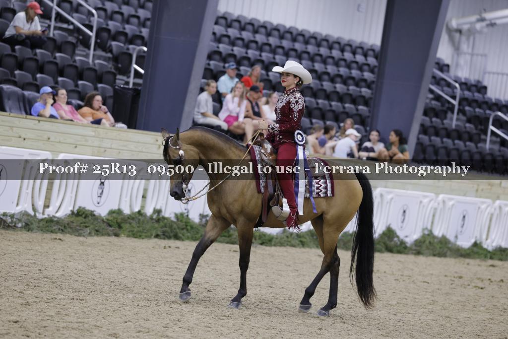 Proof 25R13_09500