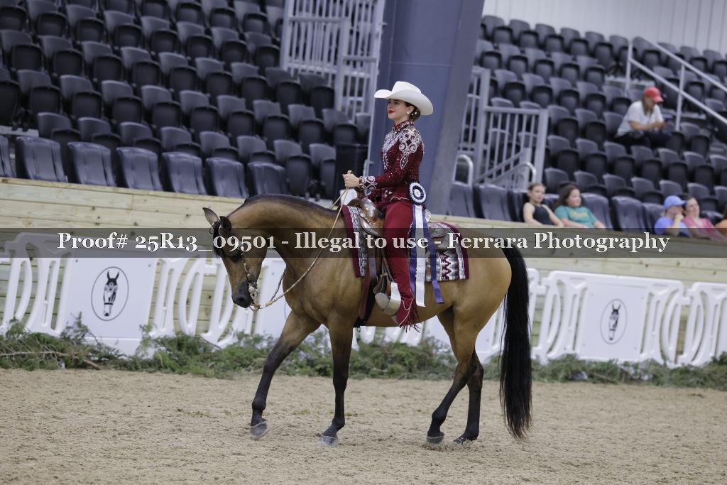 Proof 25R13_09501