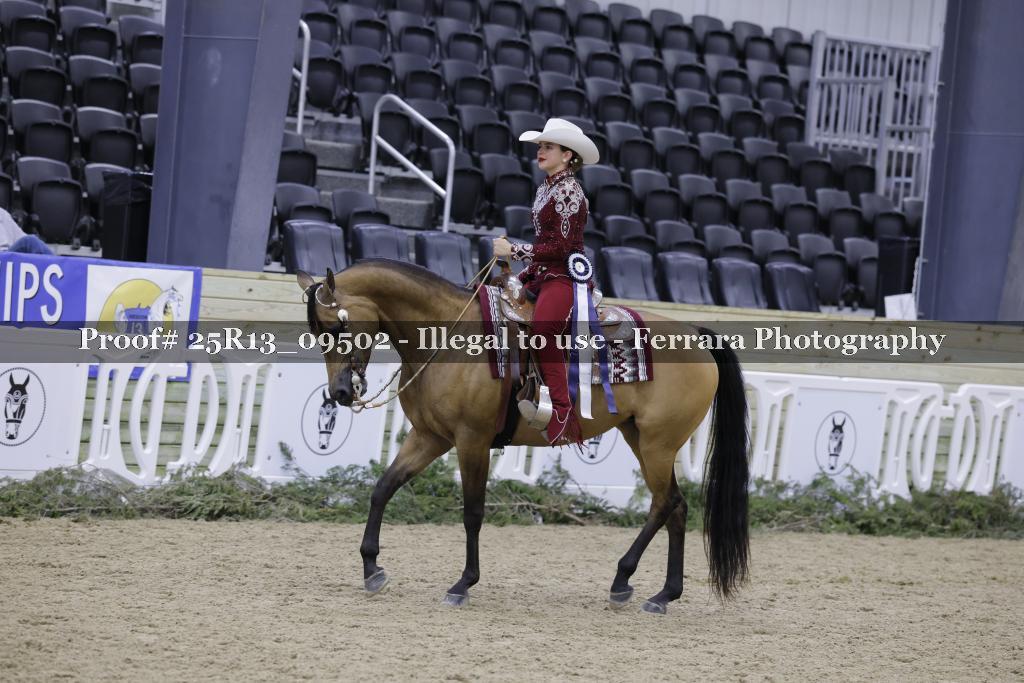 Proof 25R13_09502