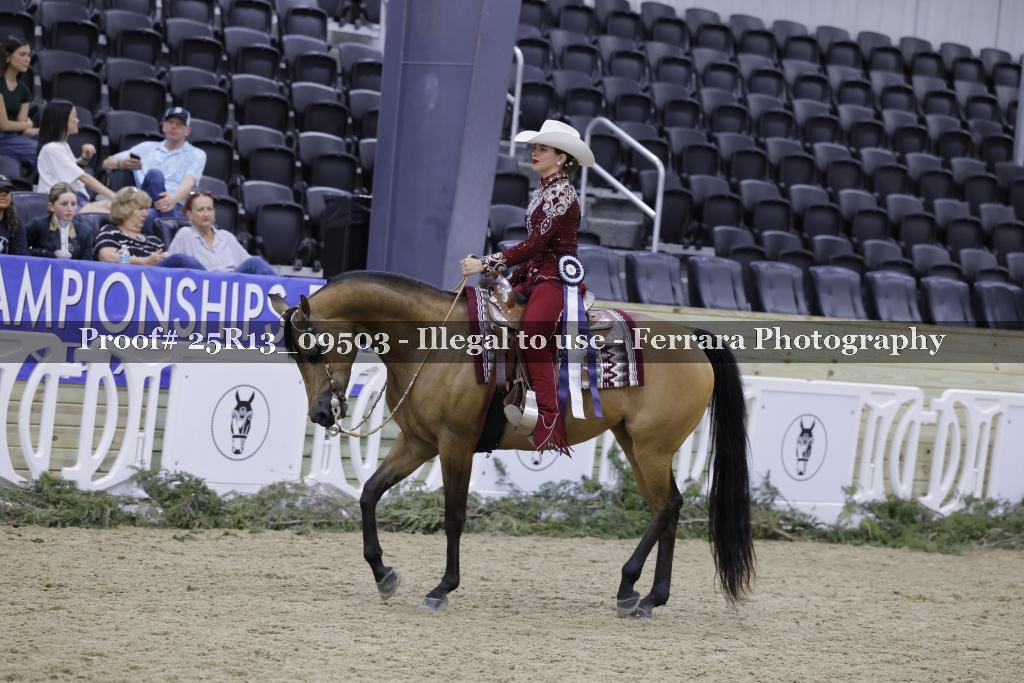 Proof 25R13_09503