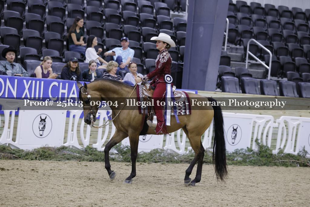 Proof 25R13_09504