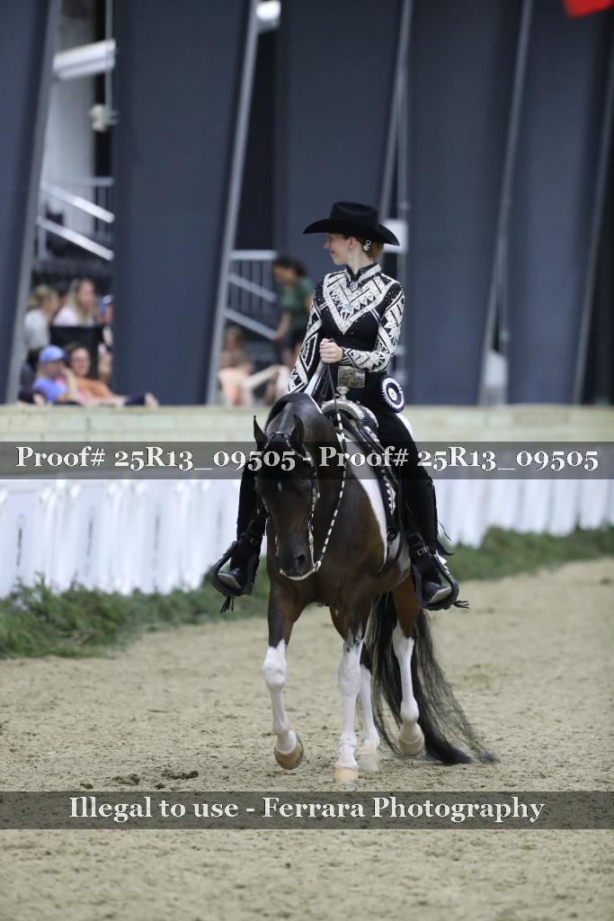 Proof 25R13_09505