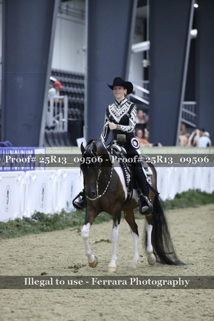 Proof 25R13_09506