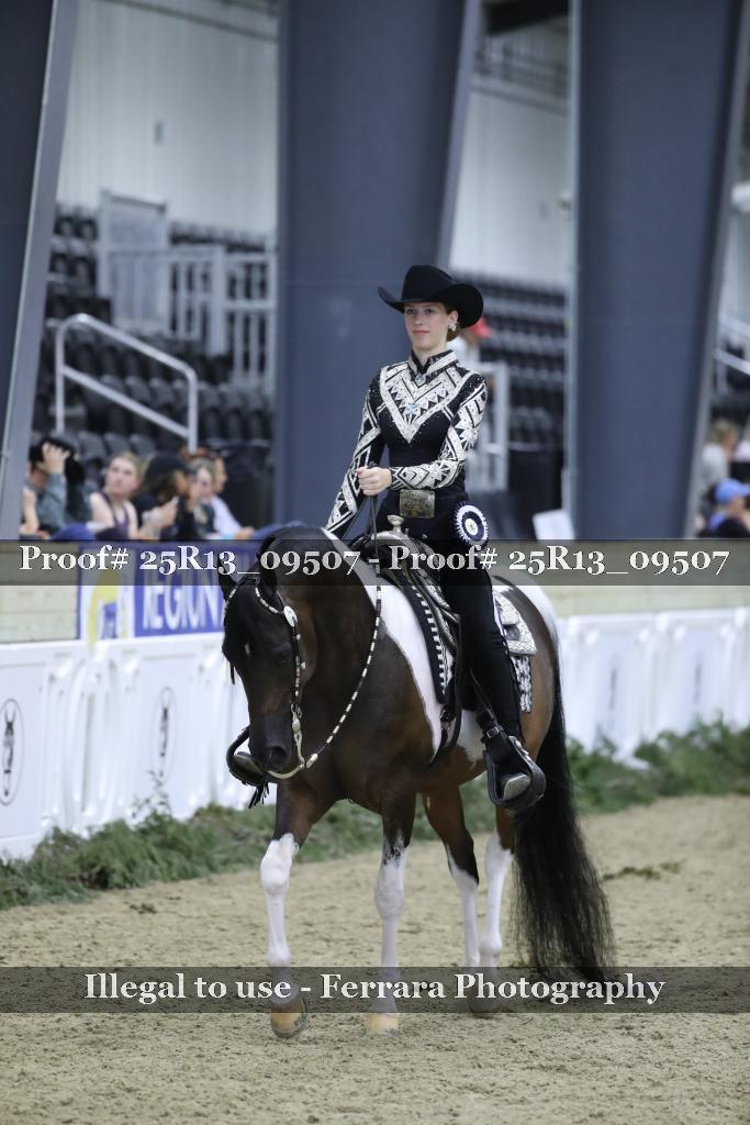 Proof 25R13_09507