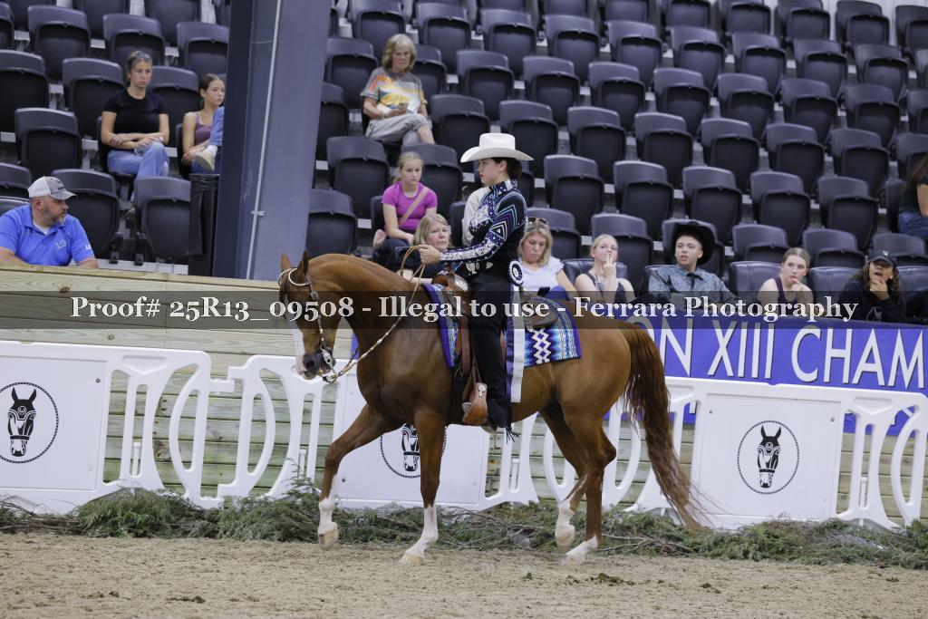 Proof 25R13_09508