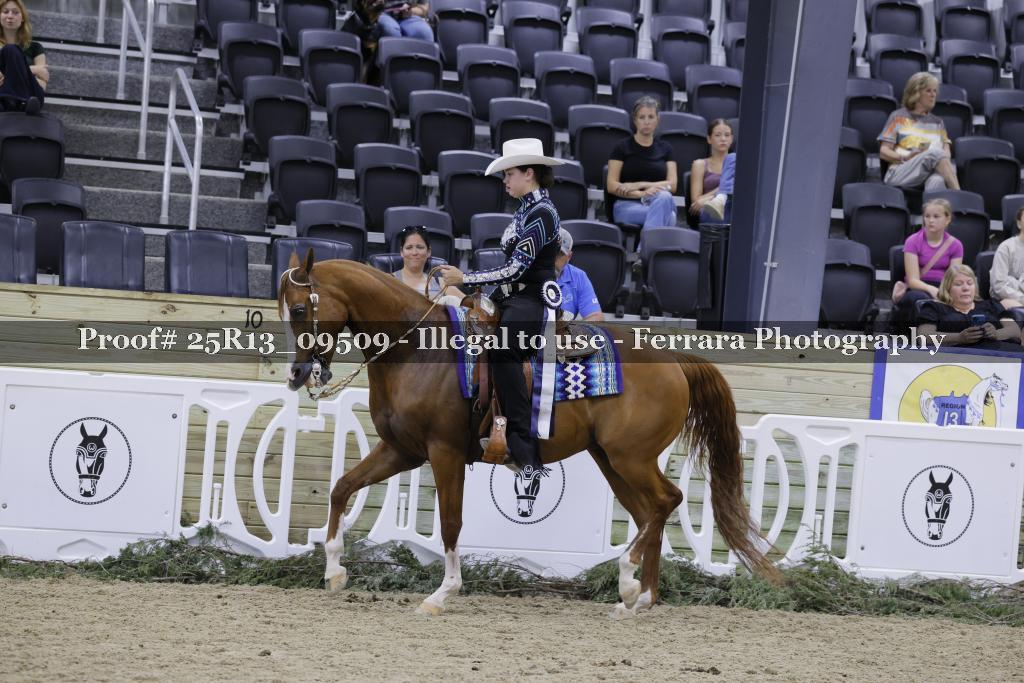 Proof 25R13_09509