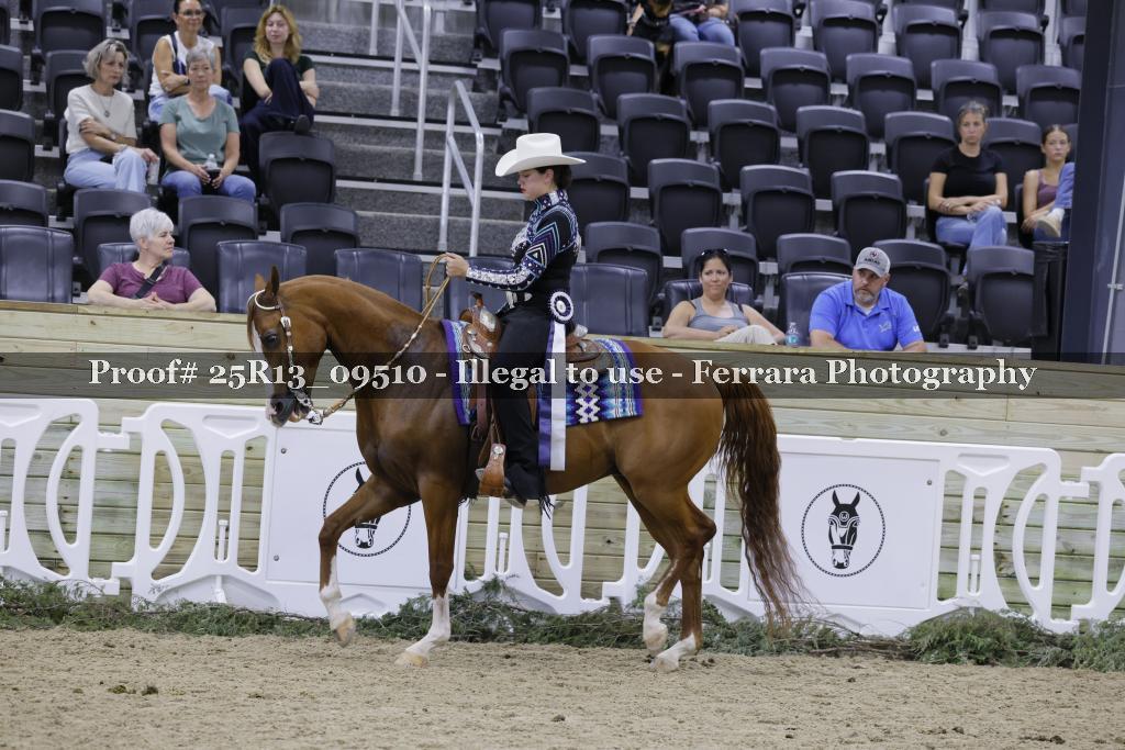 Proof 25R13_09510