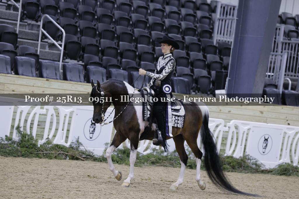 Proof 25R13_09511