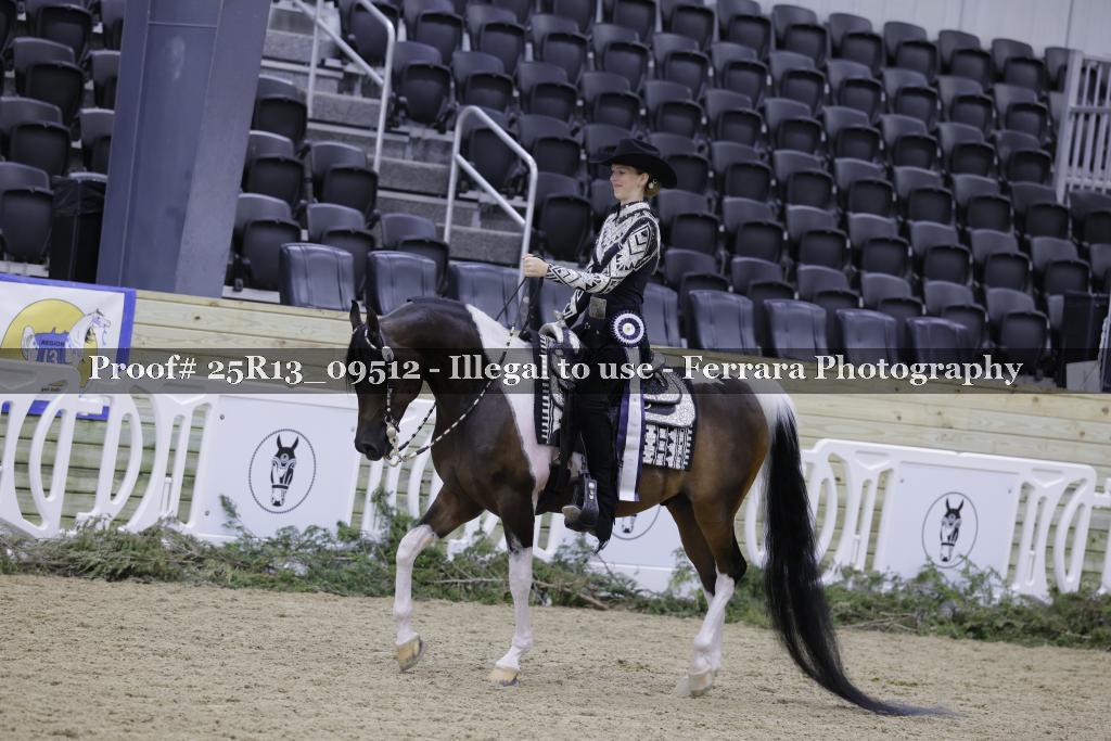 Proof 25R13_09512