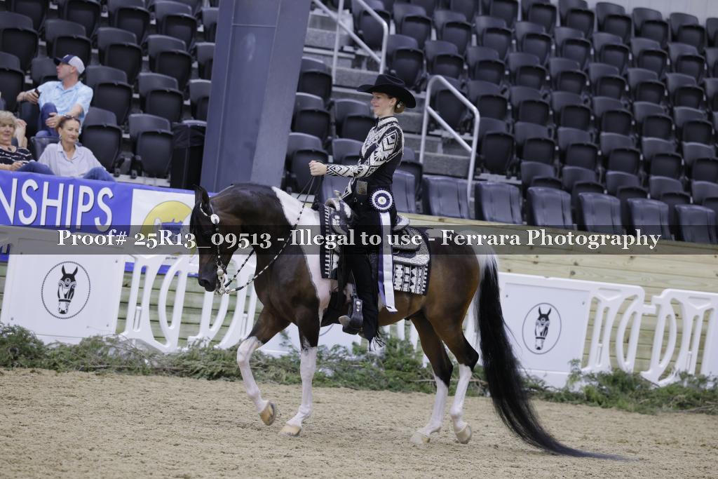 Proof 25R13_09513