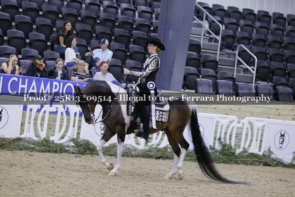 Proof 25R13_09514