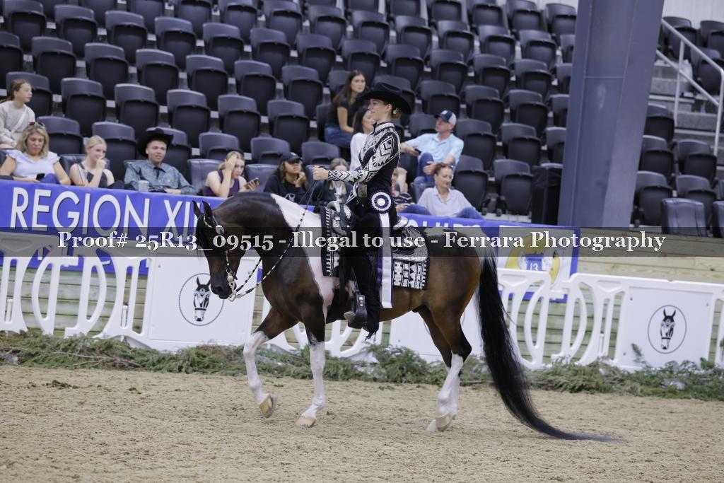 Proof 25R13_09515