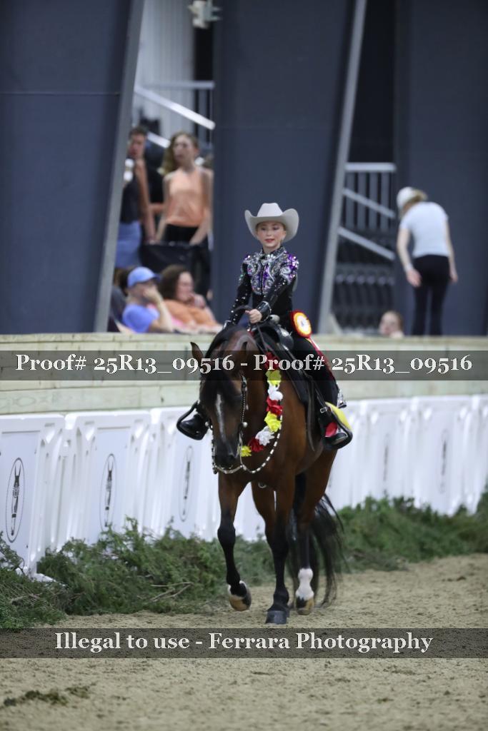 Proof 25R13_09516
