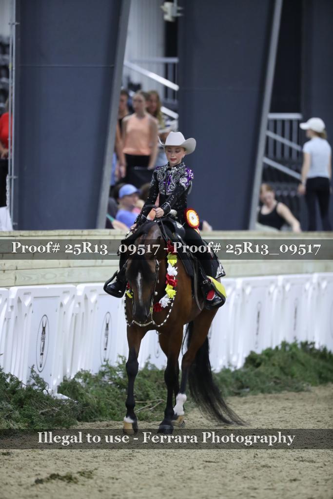 Proof 25R13_09517