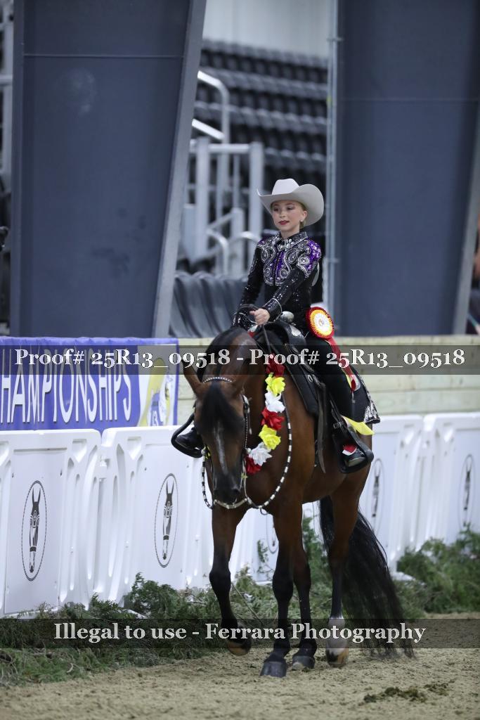 Proof 25R13_09518