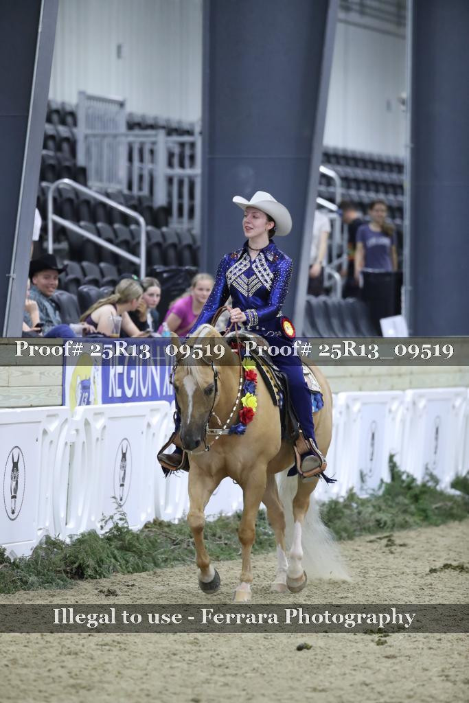 Proof 25R13_09519