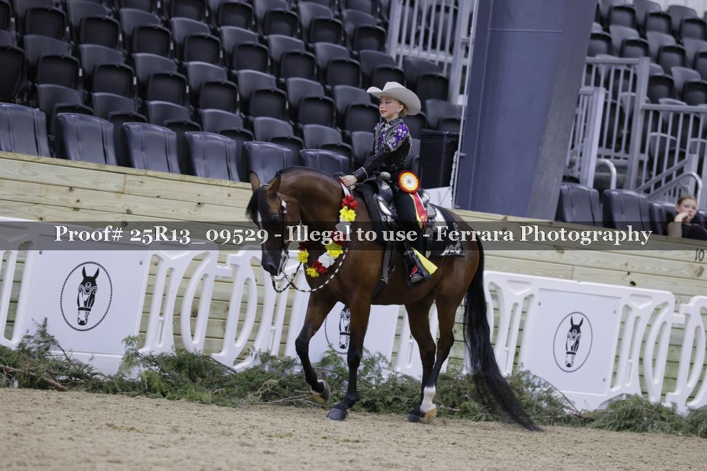 Proof 25R13_09529