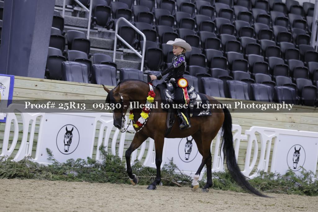 Proof 25R13_09530