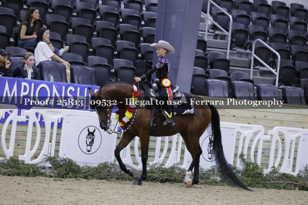 Proof 25R13_09532