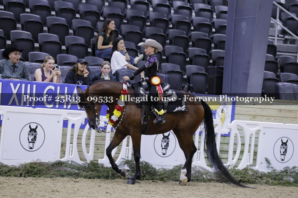 Proof 25R13_09533