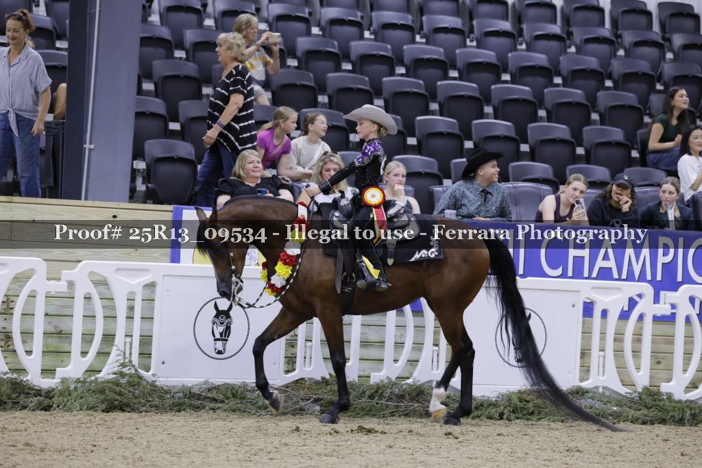 Proof 25R13_09534