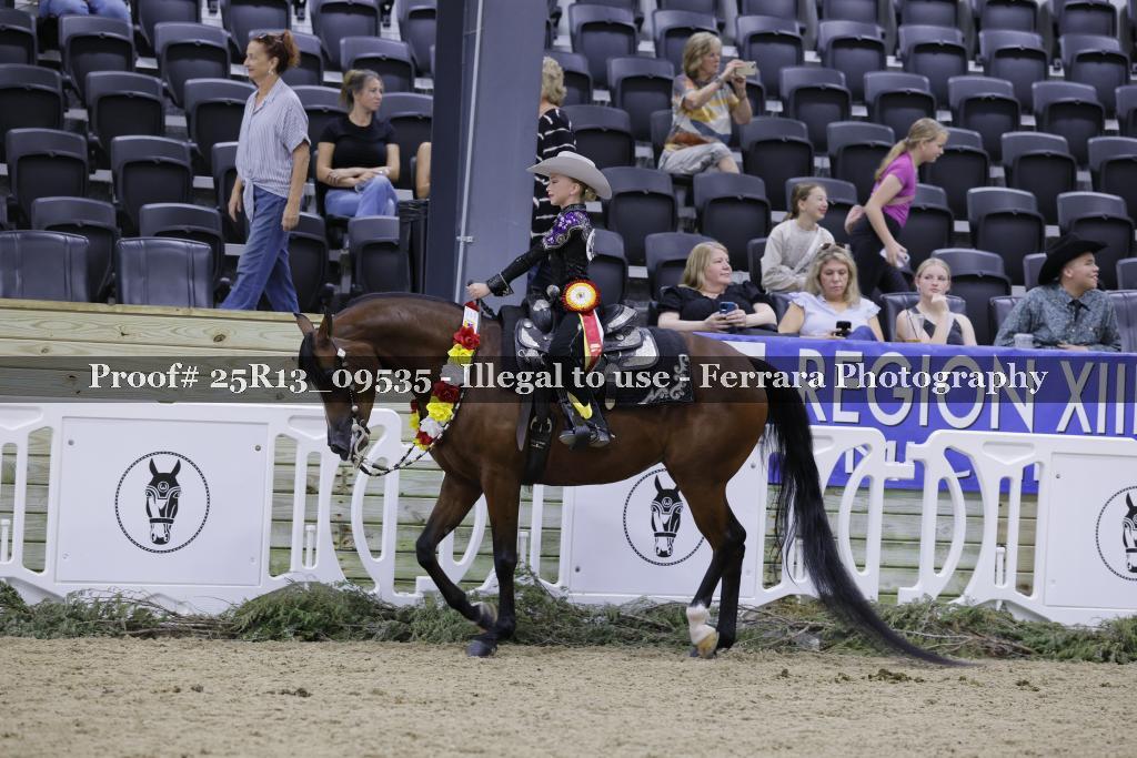 Proof 25R13_09535