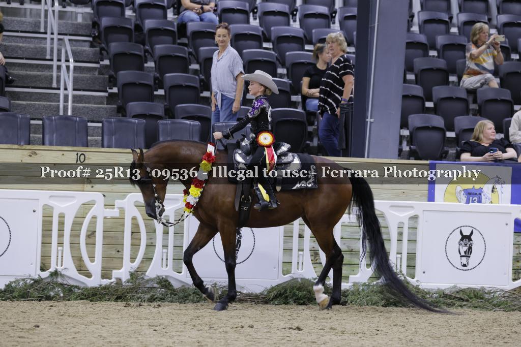 Proof 25R13_09536