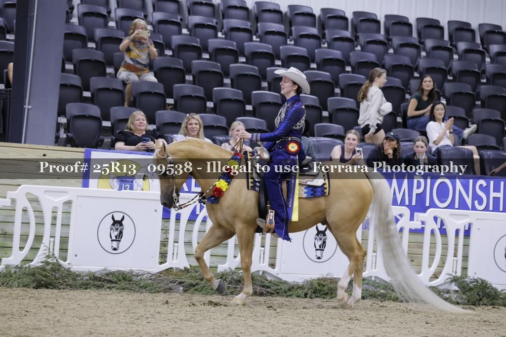 Proof 25R13_09538