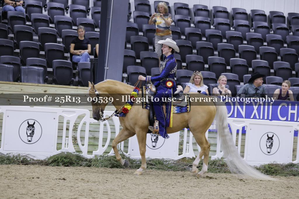 Proof 25R13_09539