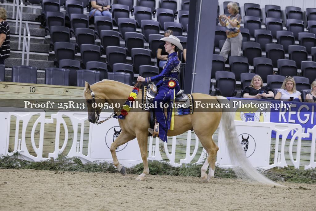 Proof 25R13_09540