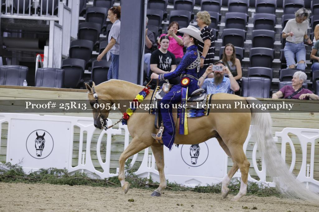 Proof 25R13_09541