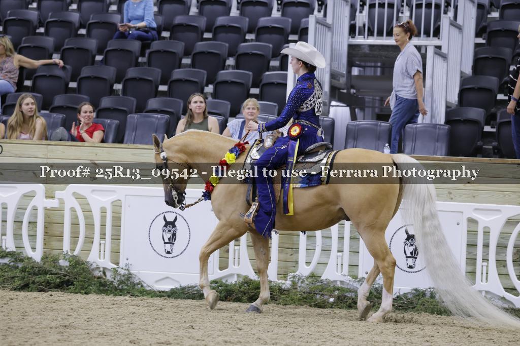 Proof 25R13_09542