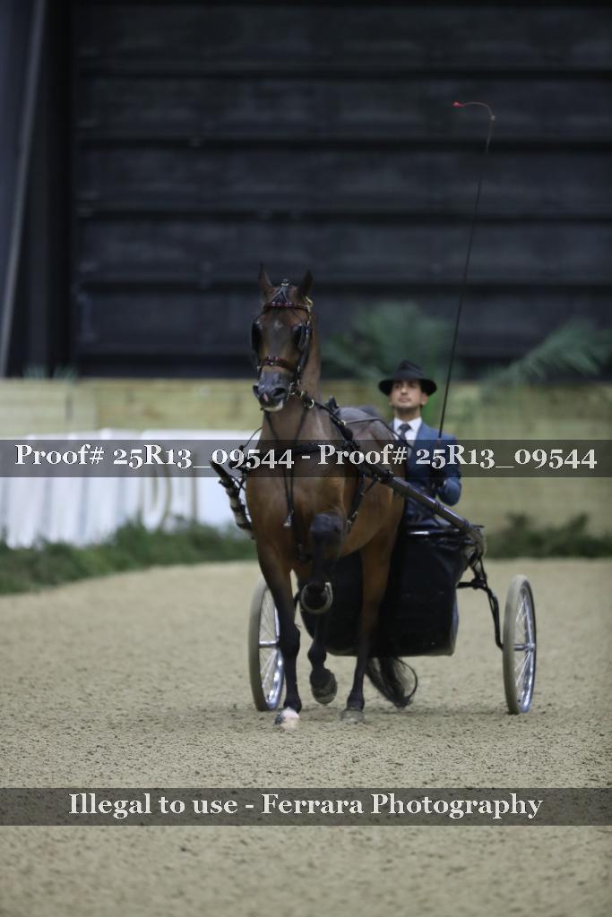 Proof 25R13_09544