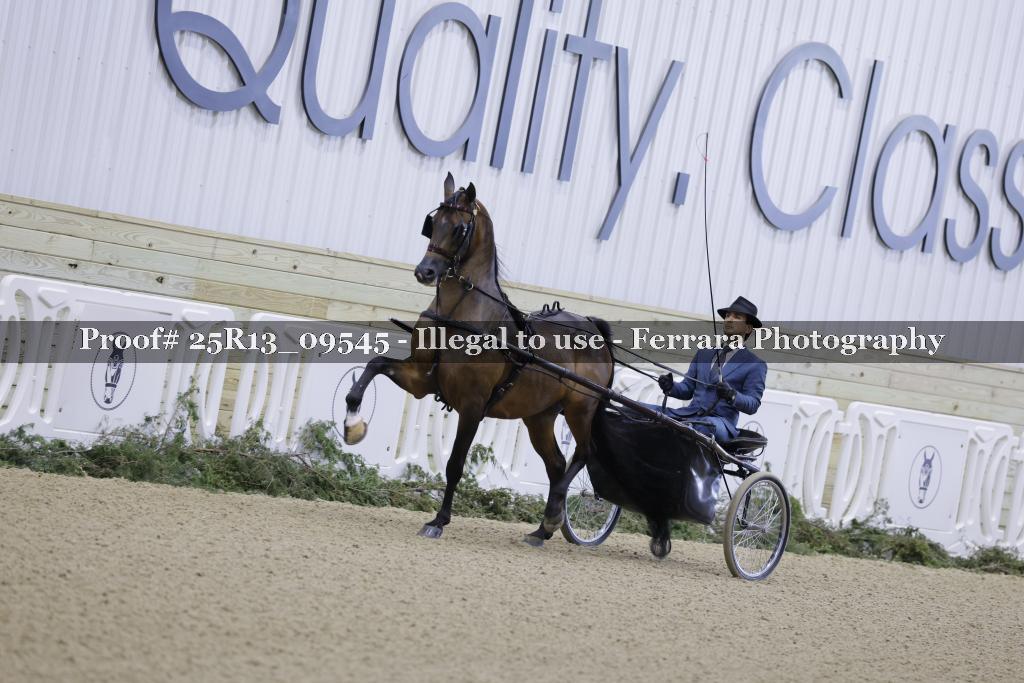 Proof 25R13_09545