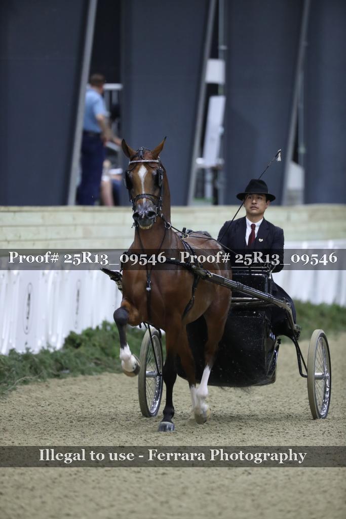 Proof 25R13_09546