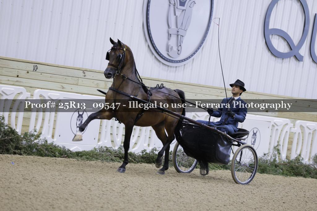 Proof 25R13_09547