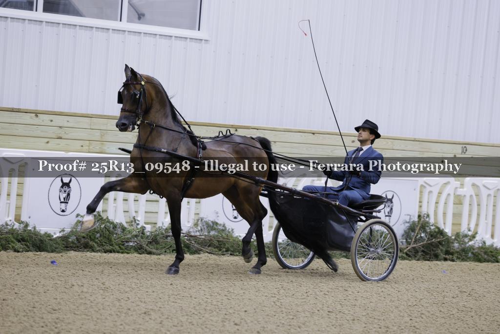 Proof 25R13_09548