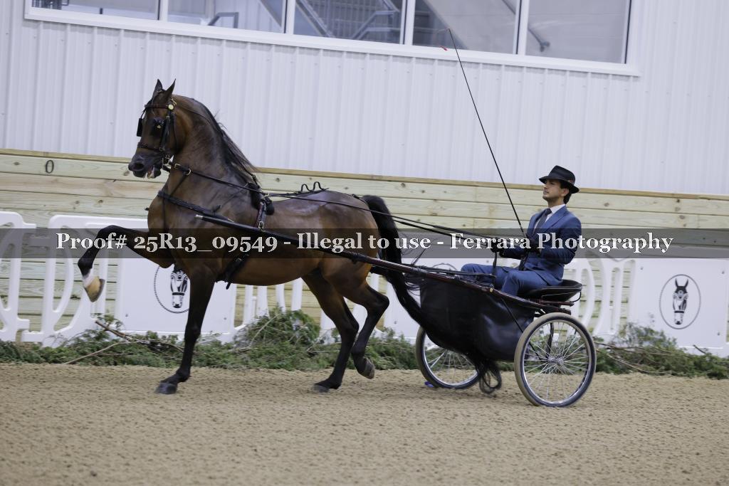 Proof 25R13_09549