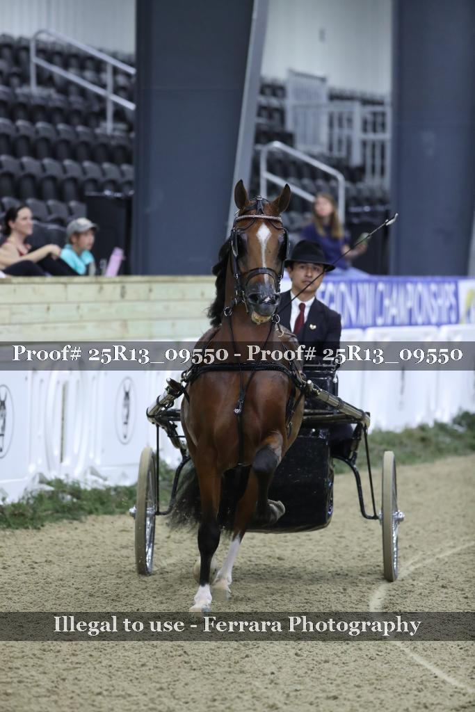 Proof 25R13_09550