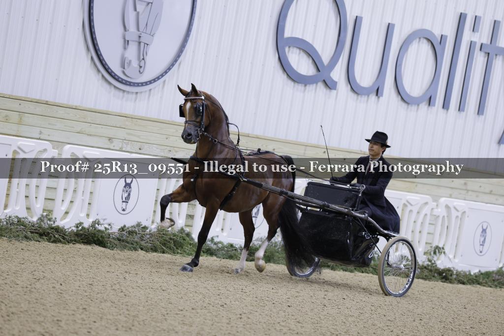 Proof 25R13_09551