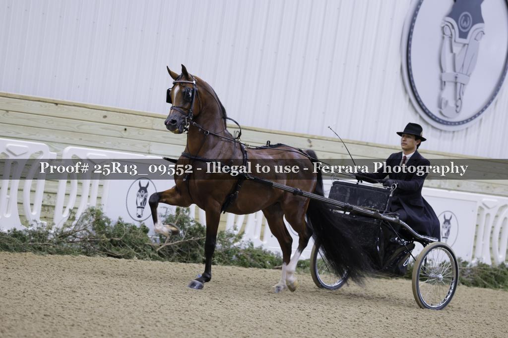 Proof 25R13_09552
