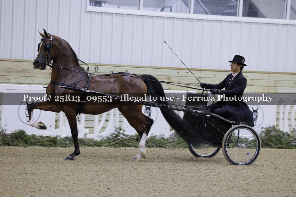 Proof 25R13_09553