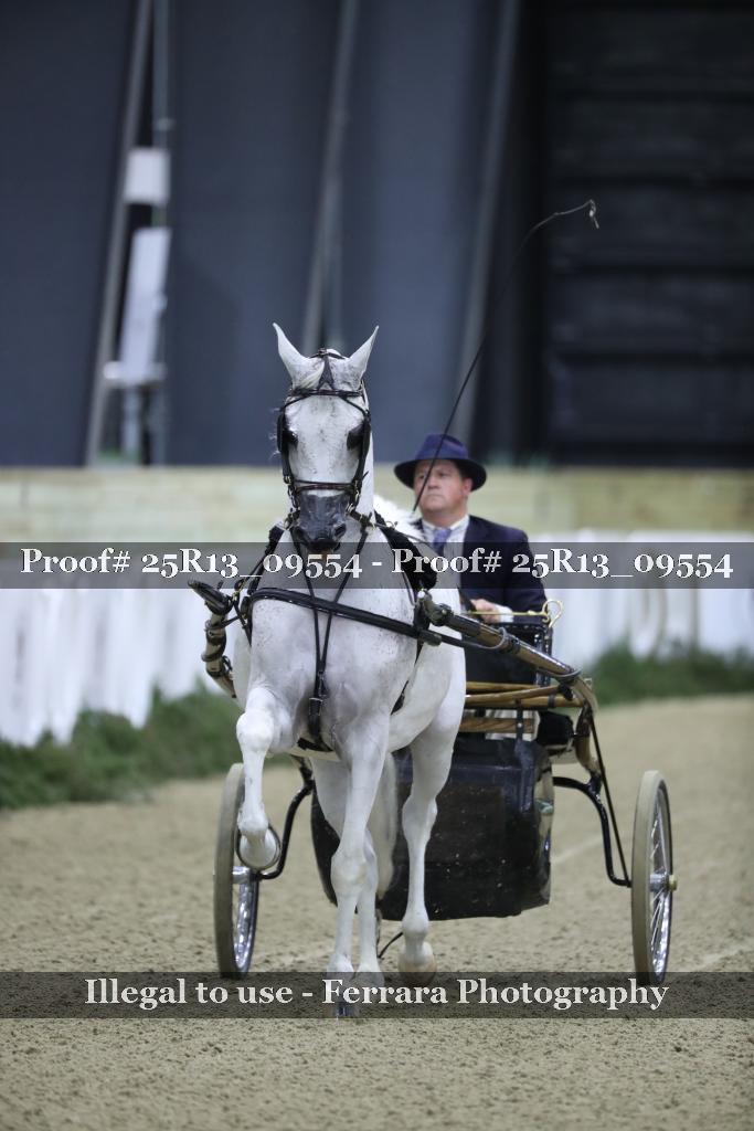 Proof 25R13_09554