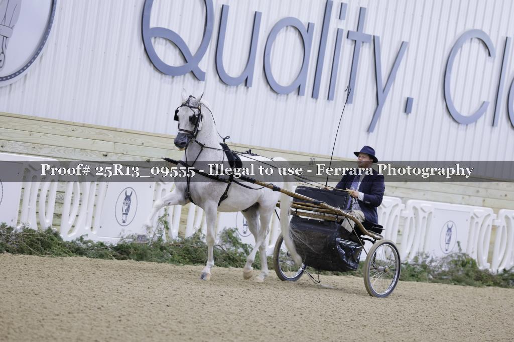 Proof 25R13_09555