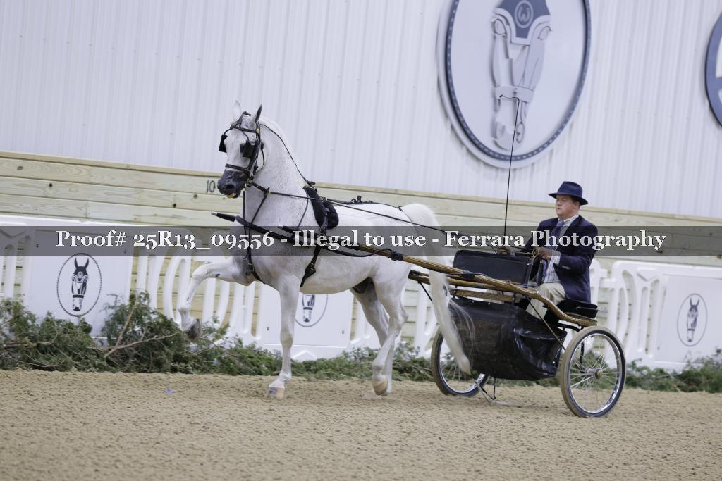 Proof 25R13_09556