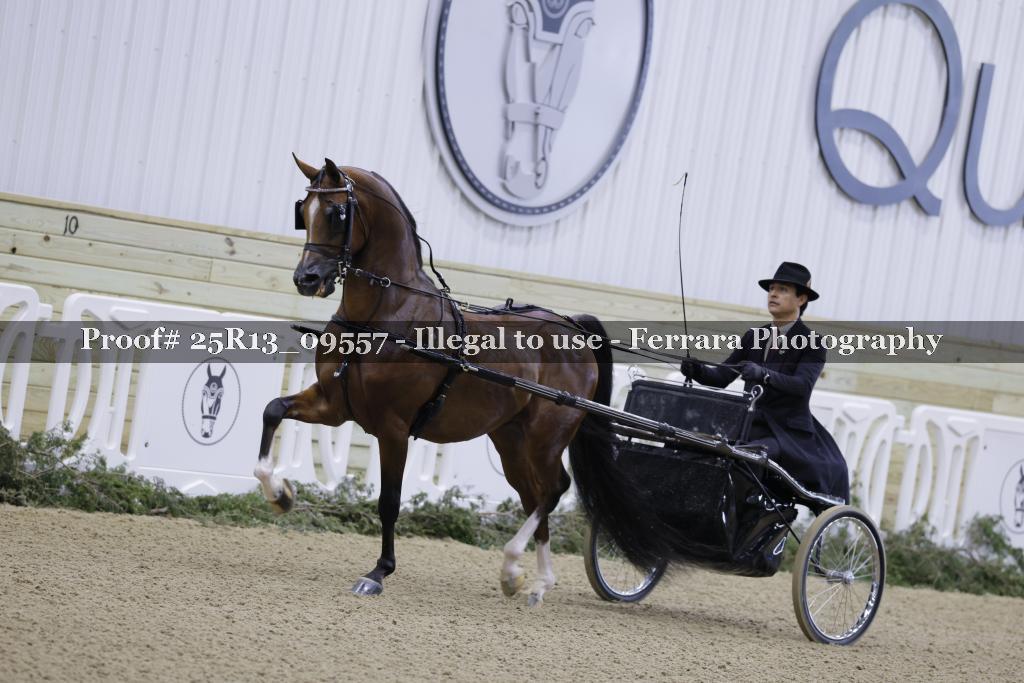 Proof 25R13_09557