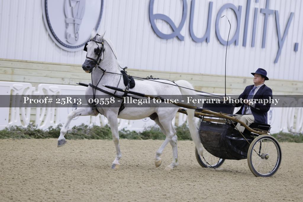 Proof 25R13_09558