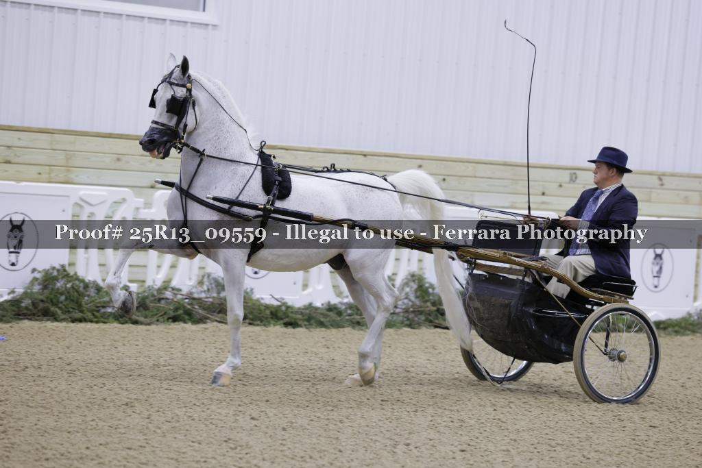 Proof 25R13_09559