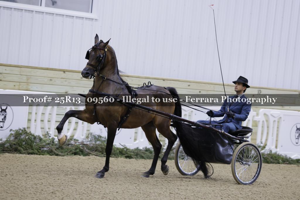Proof 25R13_09560