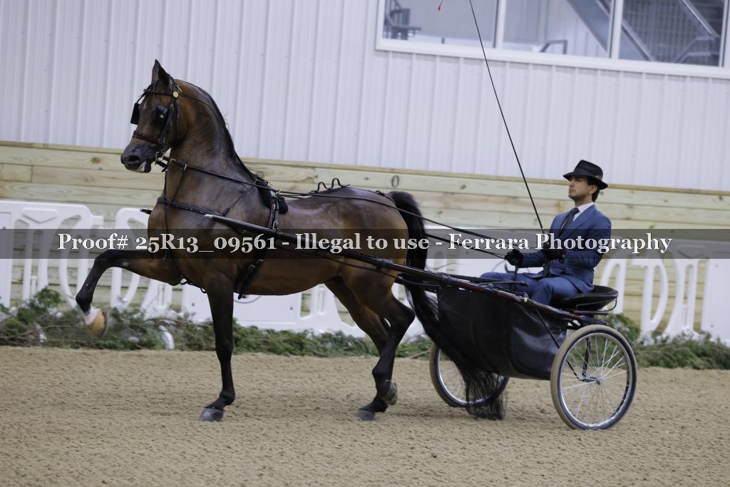 Proof 25R13_09561